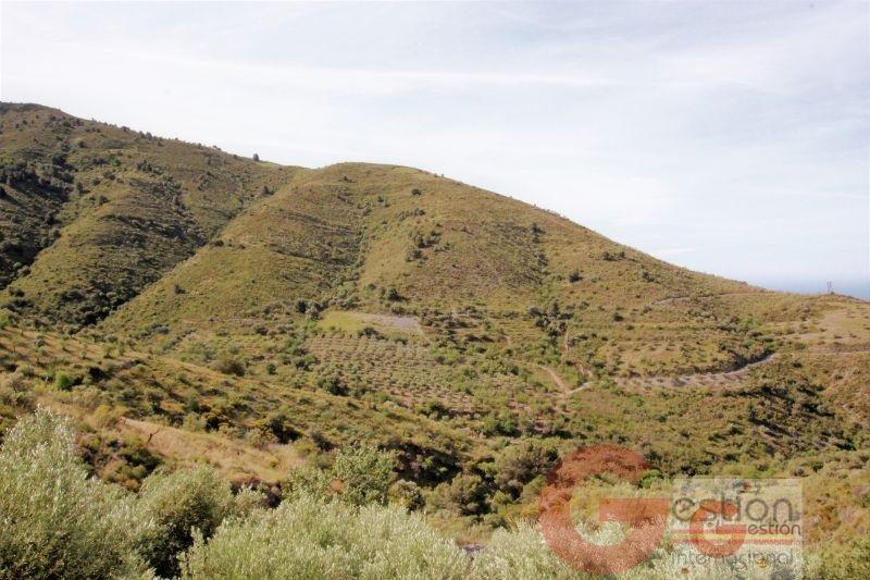 Venta de finca rústica en Vélez de Benaudalla