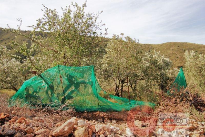 Venta de finca rústica en Vélez de Benaudalla