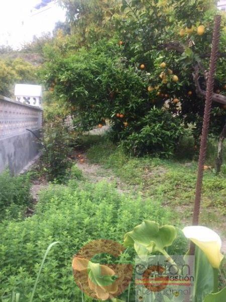 Venta de edificio en Otívar Venta de edificio en Otívar