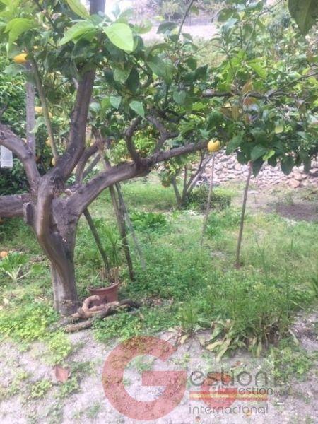 Venta de edificio en Otívar Venta de edificio en Otívar