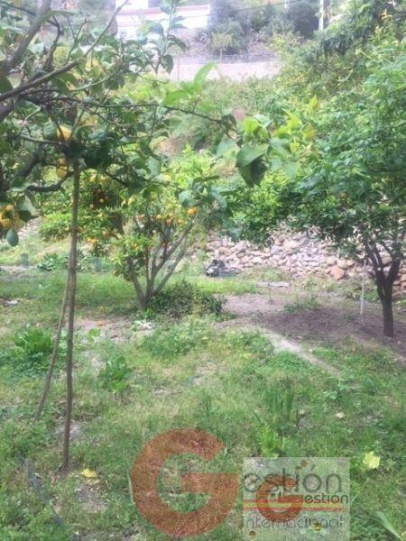 Venta de edificio en Otívar Venta de edificio en Otívar