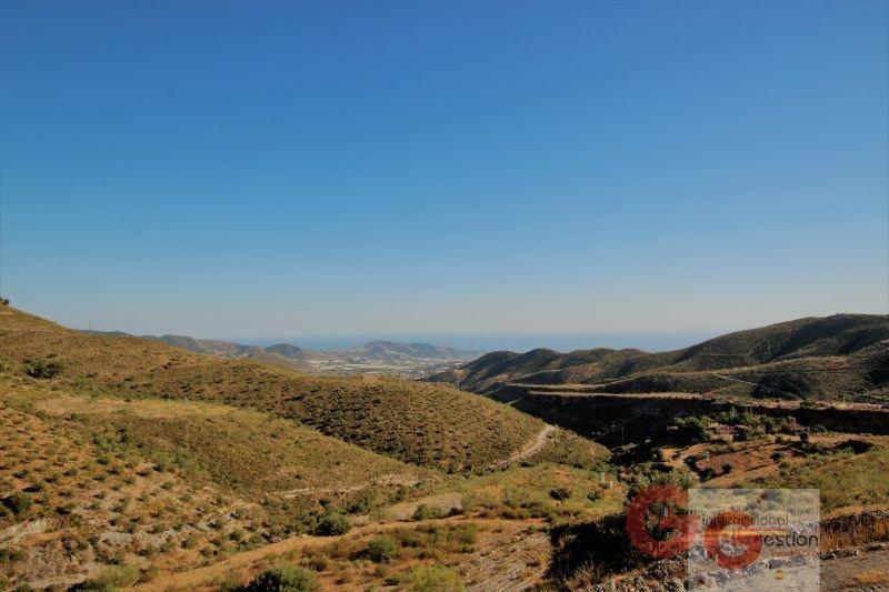 Venta de finca rústica en Vélez de Benaudalla