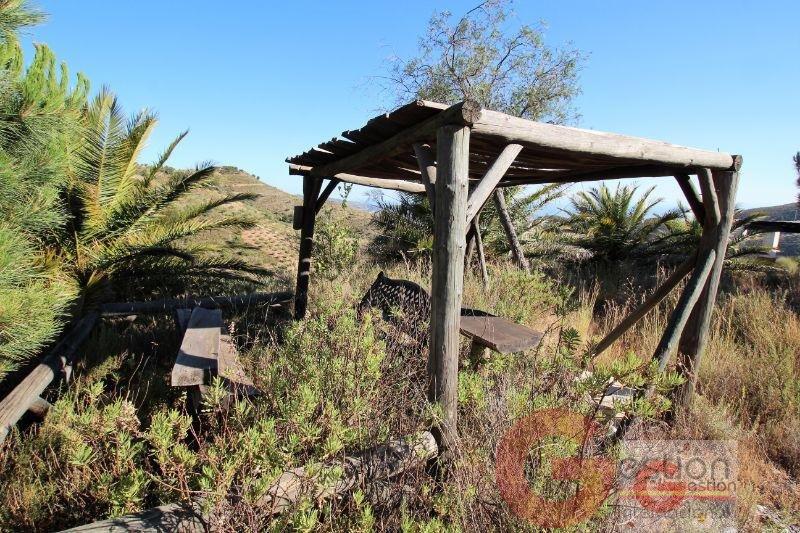Venta de finca rústica en Vélez de Benaudalla Venta de finca rústica en Vélez de Benaudalla