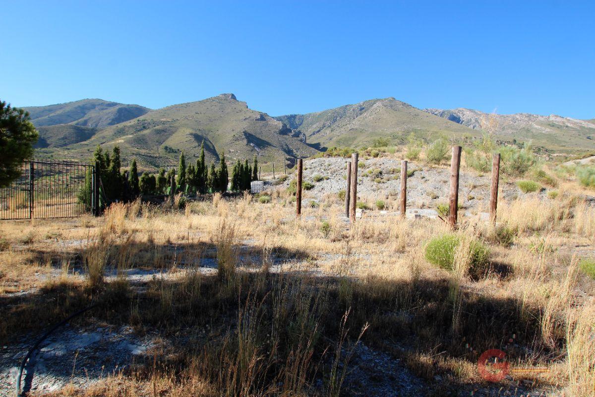 Venta de finca rústica en Vélez de Benaudalla