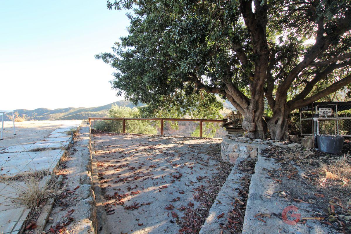 Vendita di proprietà rurale in Vélez de Benaudalla