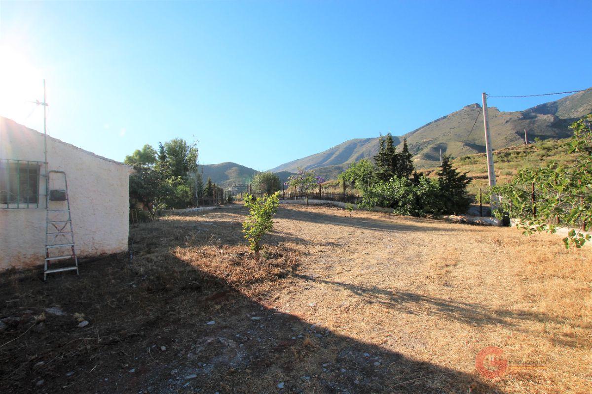 Venta de finca rústica en Vélez de Benaudalla