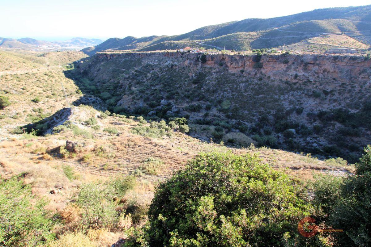 Venta de finca rústica en Vélez de Benaudalla