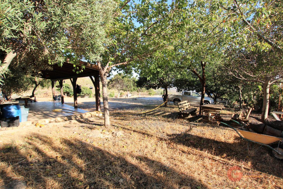 Vendita di proprietà rurale in Vélez de Benaudalla