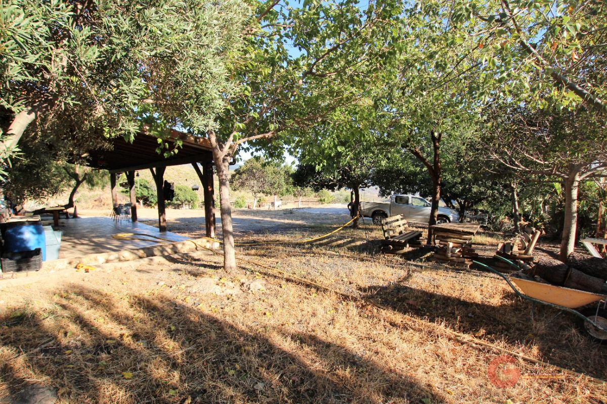 For sale of rural property in Vélez de Benaudalla