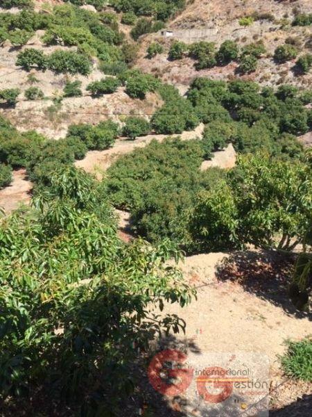 For sale of rural property in Almuñécar