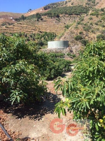 Venta de finca rústica en Almuñécar