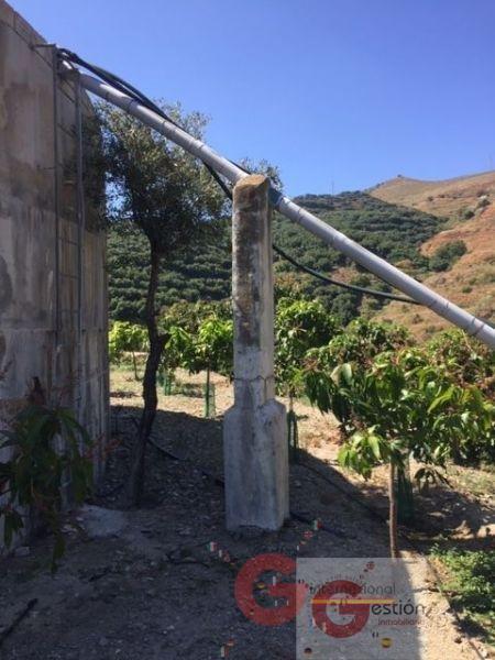 Venta de finca rústica en Almuñécar