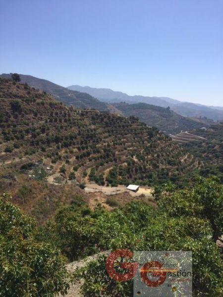 For sale of rural property in Almuñécar