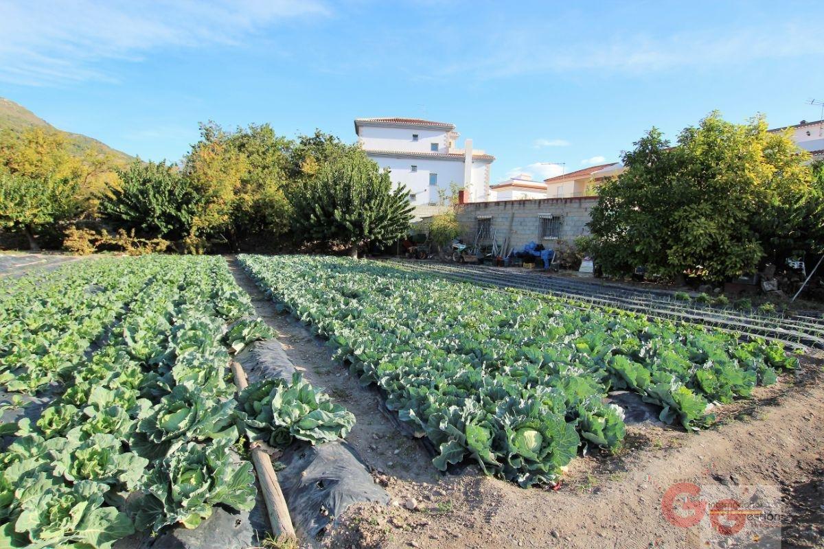 Venta de terreno en Vélez de Benaudalla