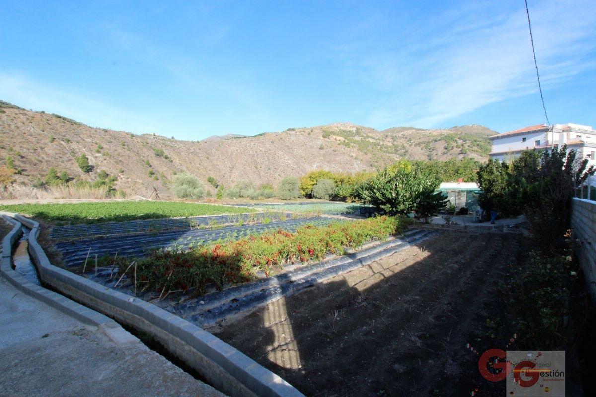 Vente de terrain dans Vélez de Benaudalla