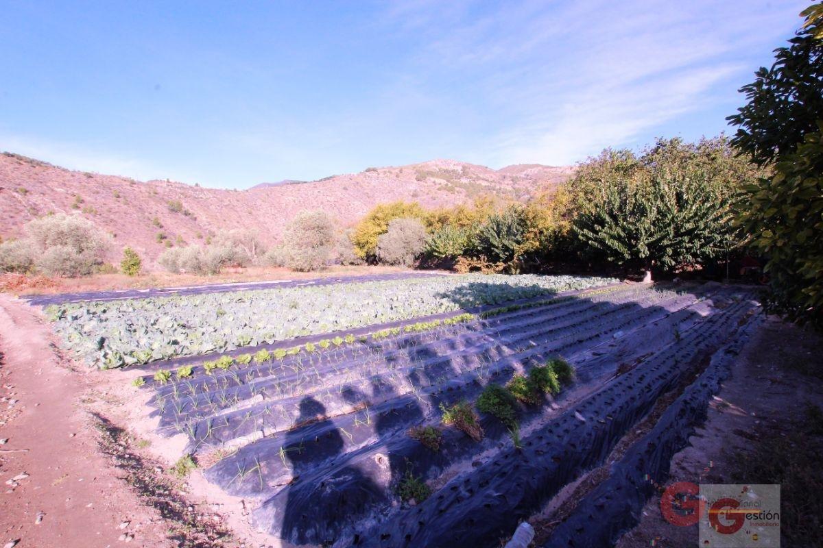 For sale of land in Vélez de Benaudalla