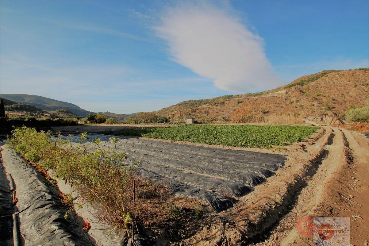 Vente de terrain dans Vélez de Benaudalla