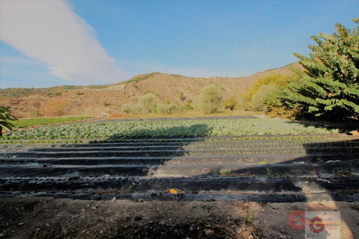 For sale of land in Vélez de Benaudalla