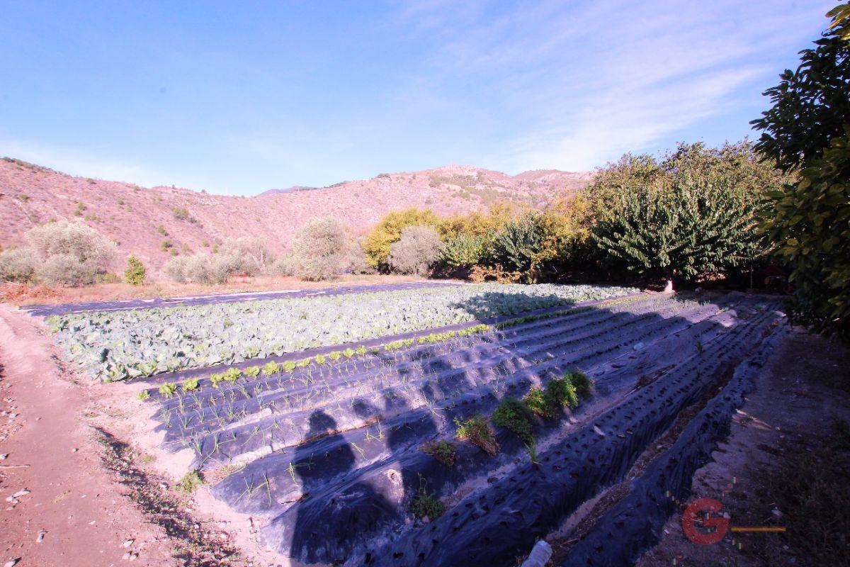 For sale of land in Vélez de Benaudalla