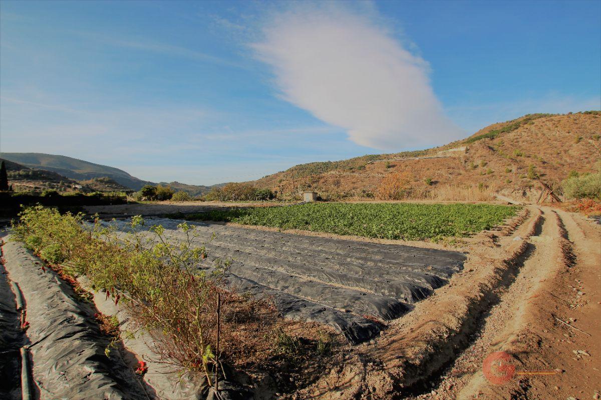 Vente de terrain dans Vélez de Benaudalla