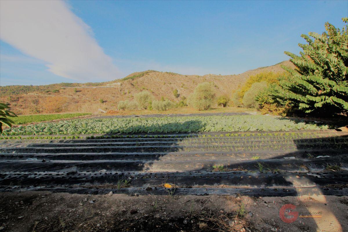 For sale of land in Vélez de Benaudalla