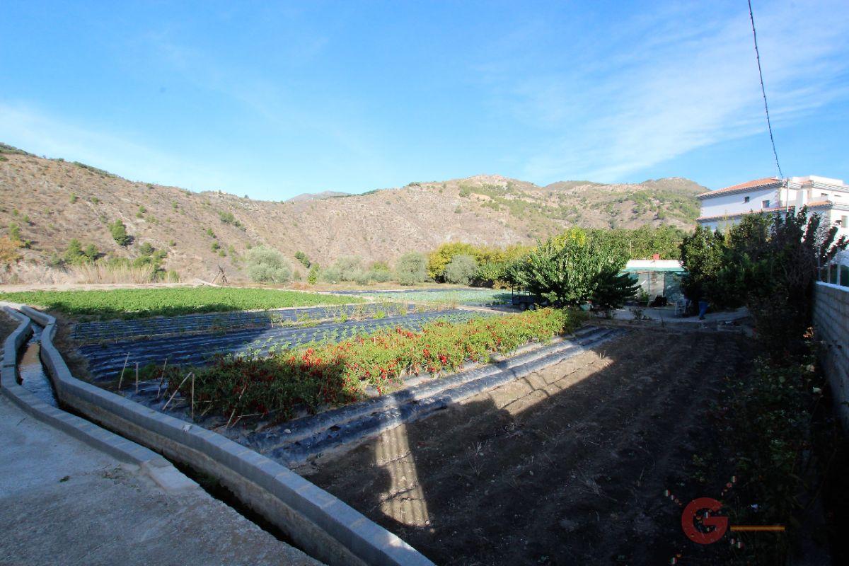 Vente de terrain dans Vélez de Benaudalla