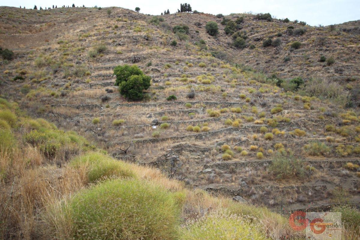 Venta de terreno en Itrabo