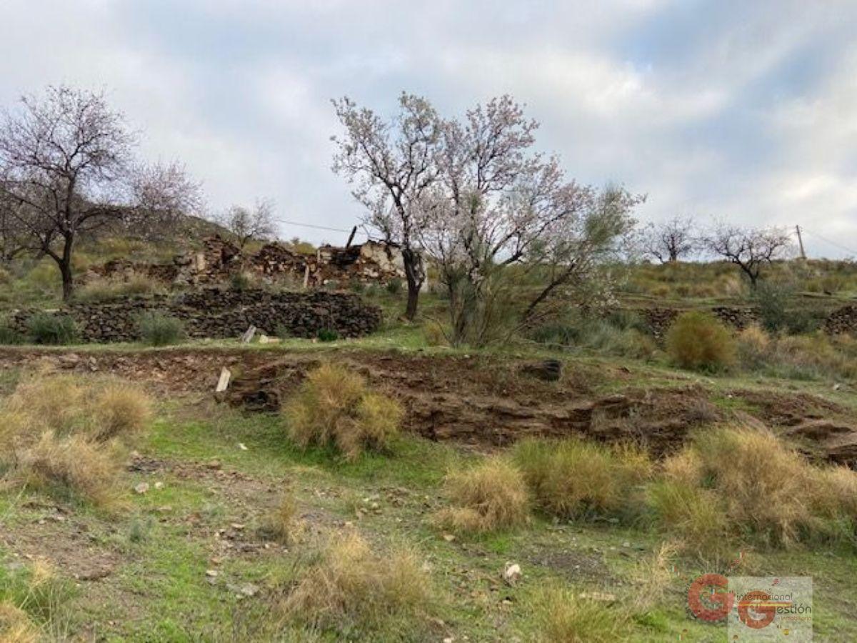 Vendita di terreno in Almuñécar
