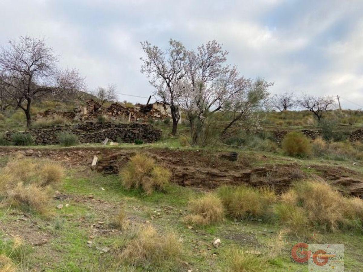 Venta de terreno en Almuñécar