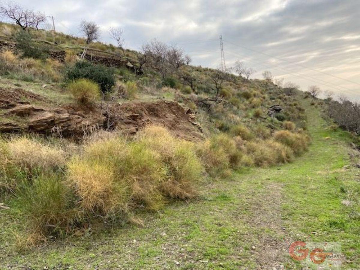 Vendita di terreno in Almuñécar