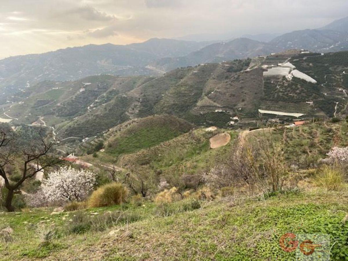 Vendita di terreno in Almuñécar