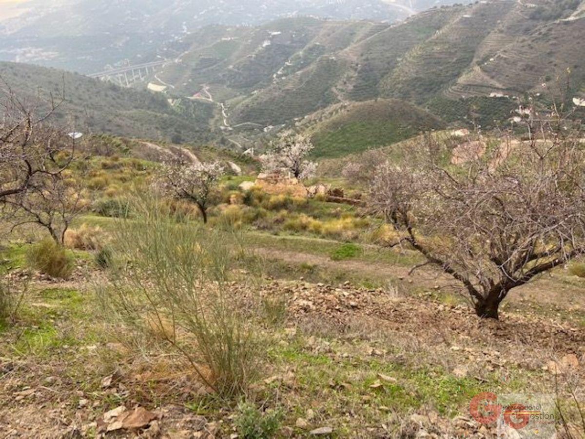 Vendita di terreno in Almuñécar