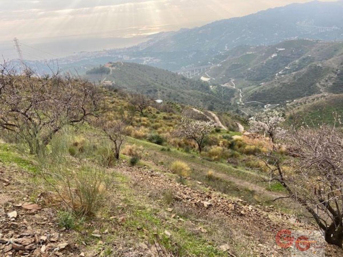 Vendita di terreno in Almuñécar