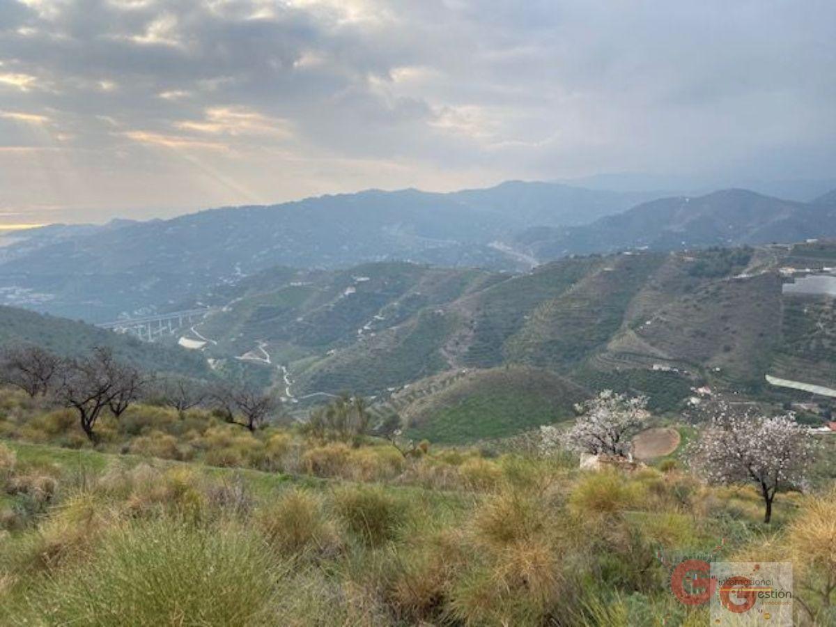 Vendita di terreno in Almuñécar