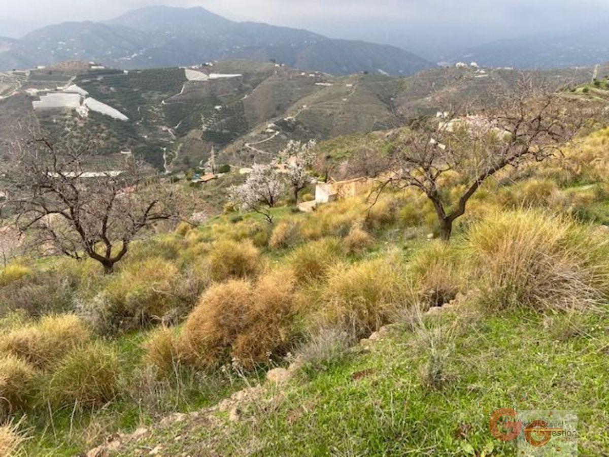 Vendita di terreno in Almuñécar
