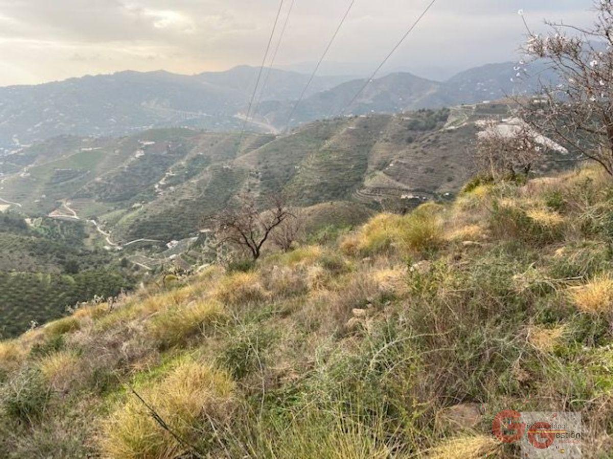 Vendita di terreno in Almuñécar