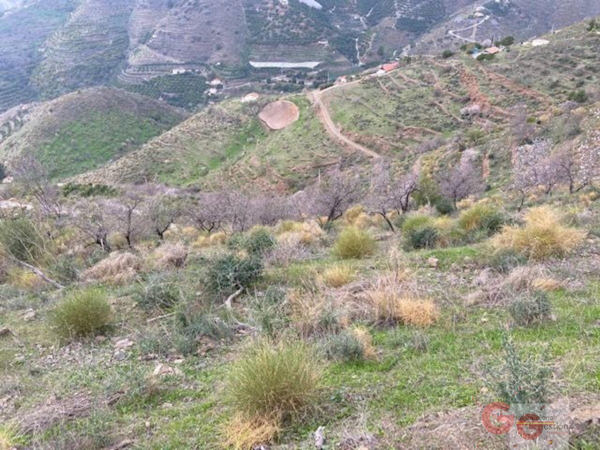 Vendita di terreno in Almuñécar