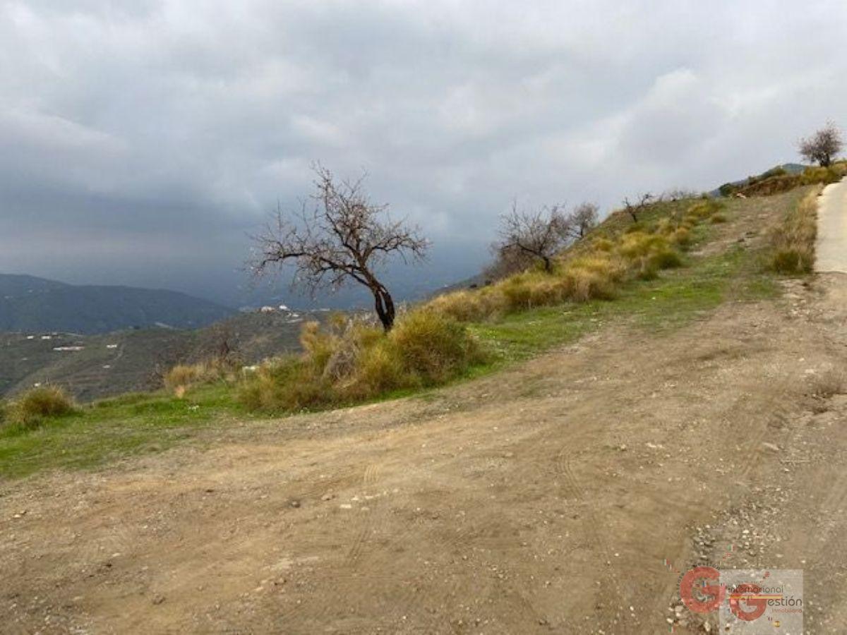 Venta de terreno en Almuñécar