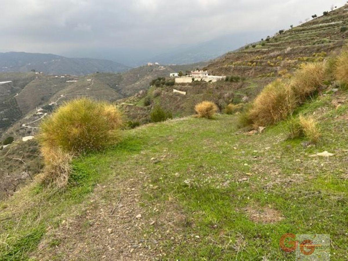 For sale of land in Almuñécar
