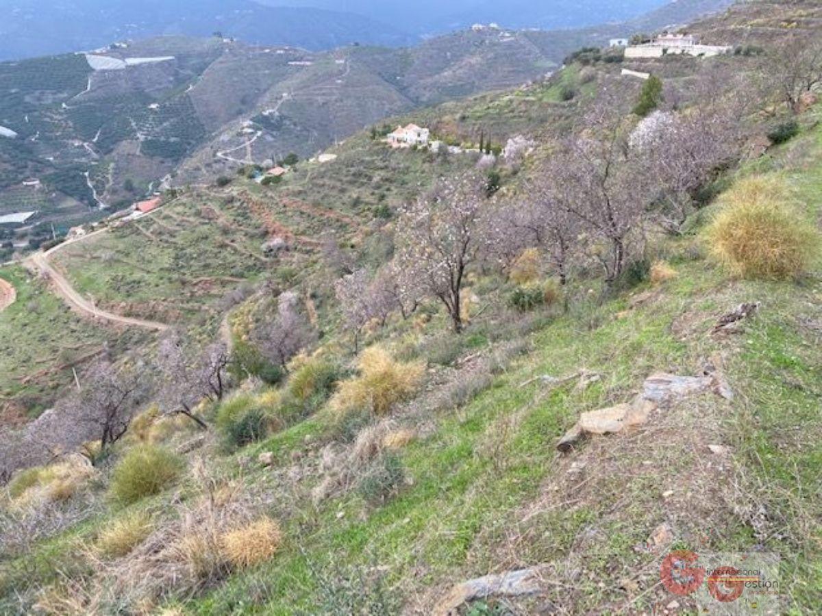 Vendita di terreno in Almuñécar