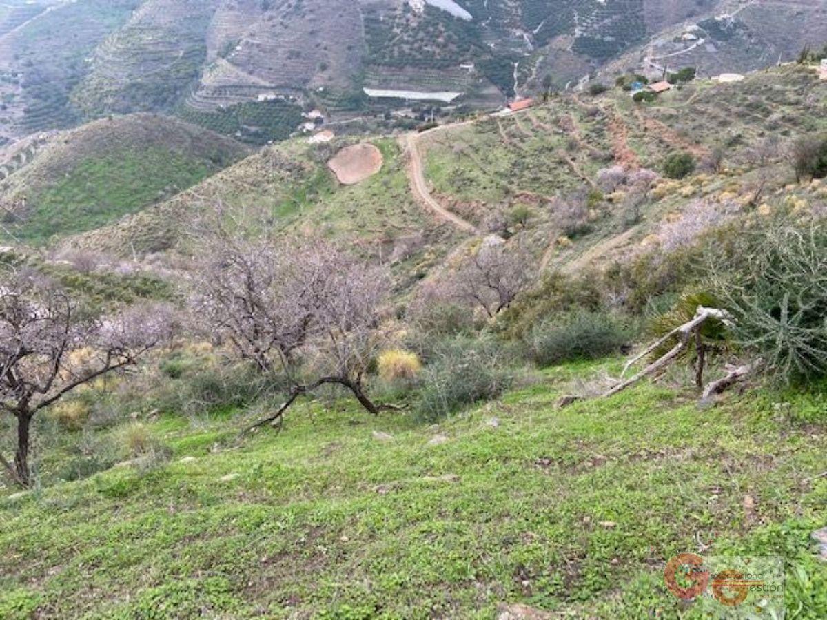 Vendita di terreno in Almuñécar
