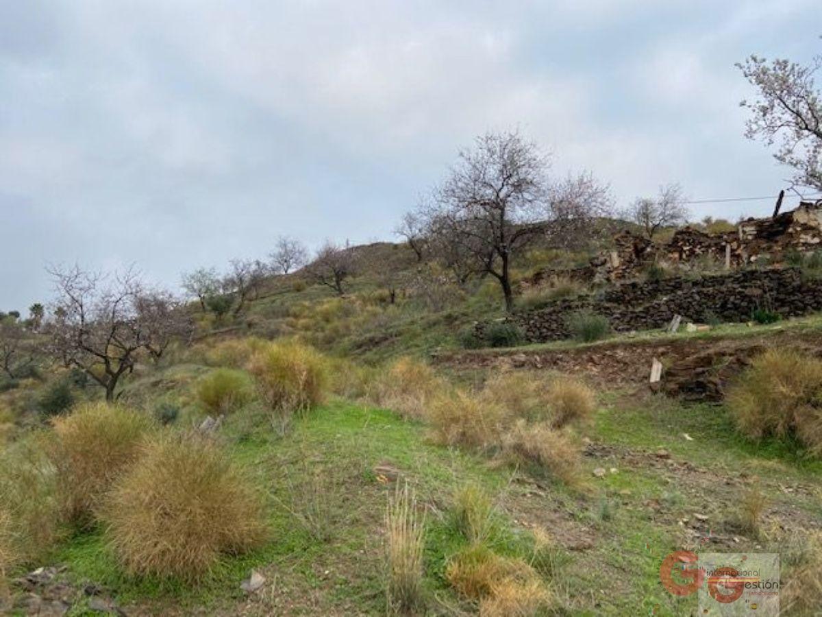 Vendita di terreno in Almuñécar