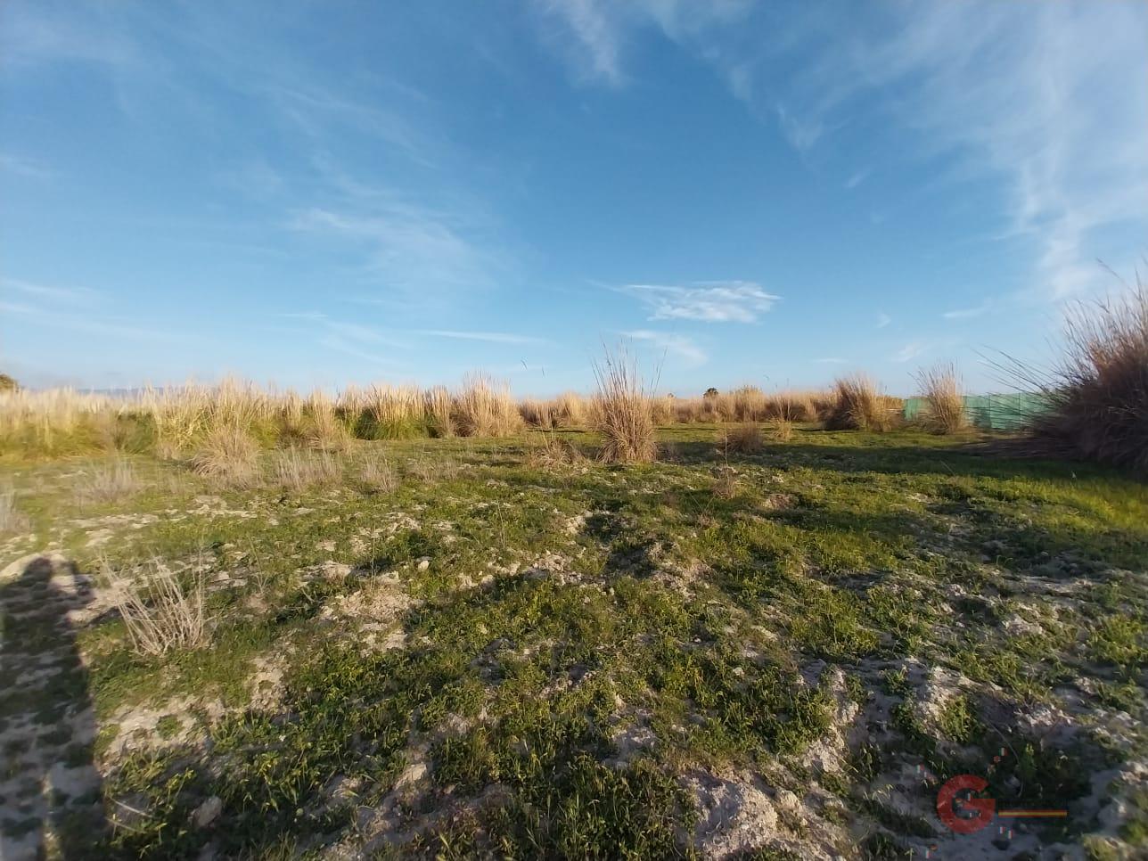 For sale of land in Salobreña