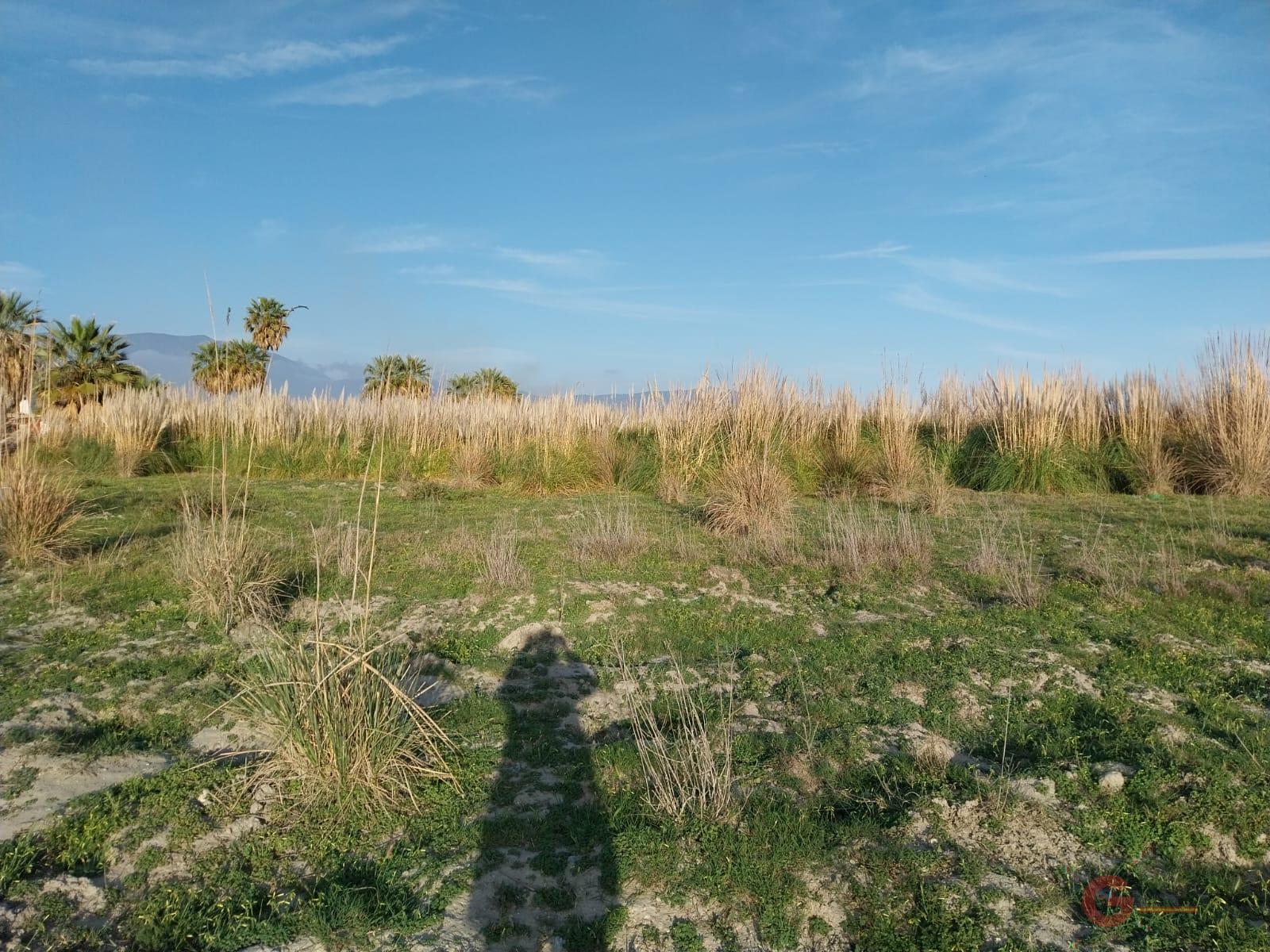 For sale of land in Salobreña