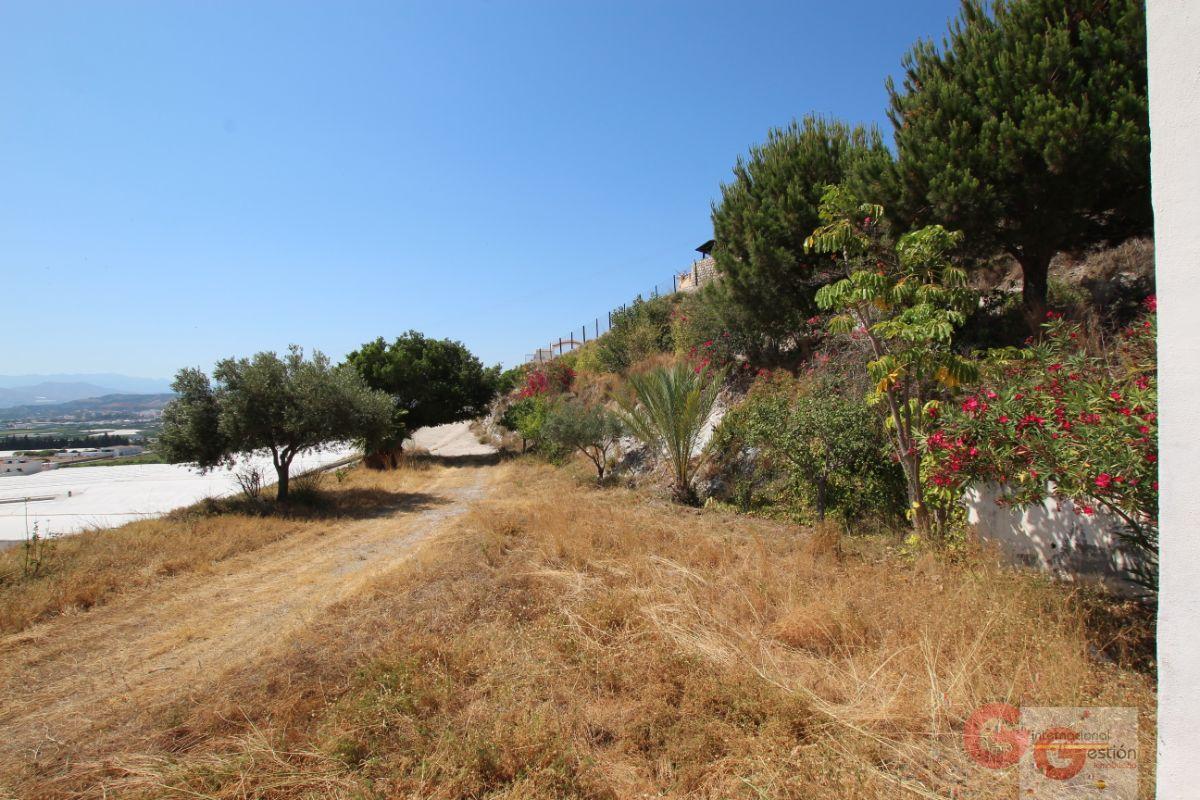 For sale of rural property in Motril