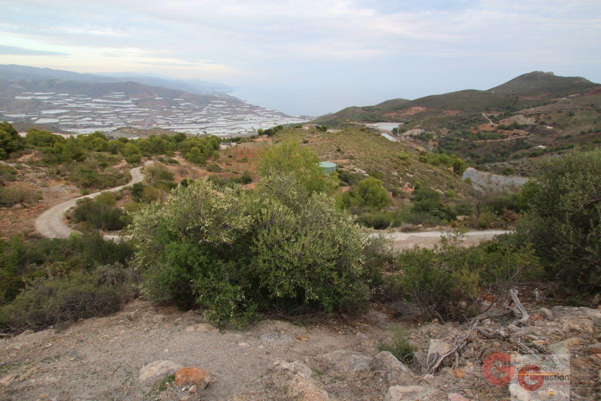 For sale of land in Gualchos