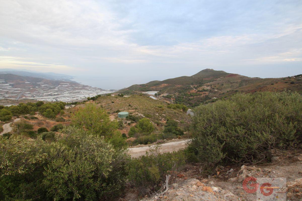 For sale of land in Gualchos