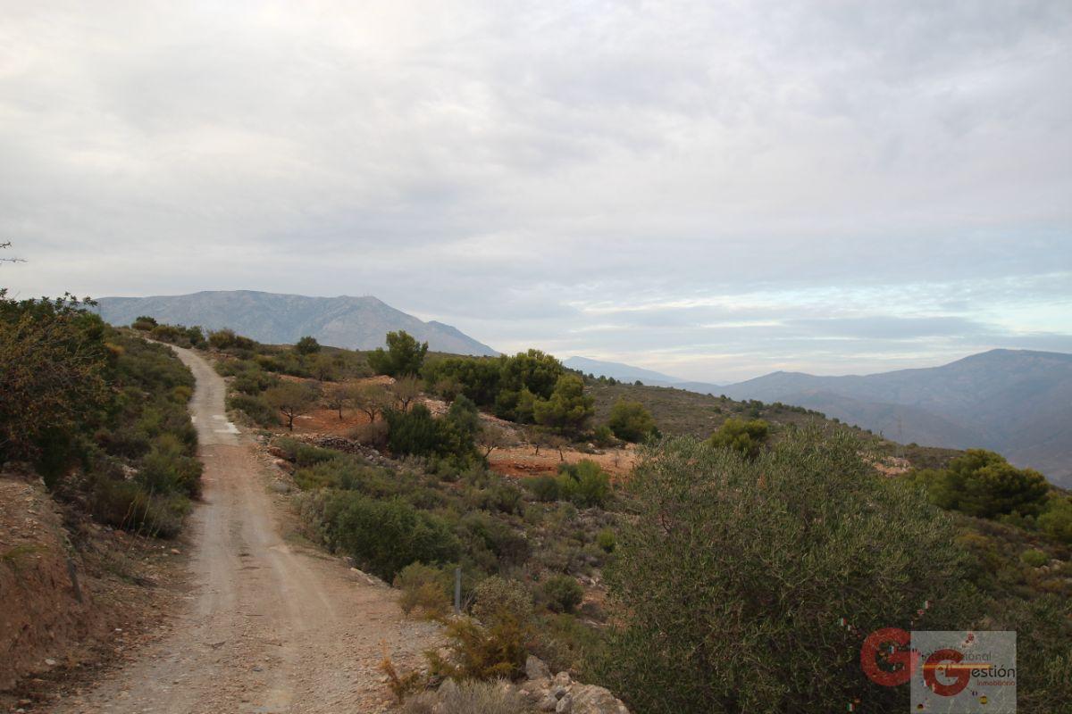 For sale of land in Gualchos