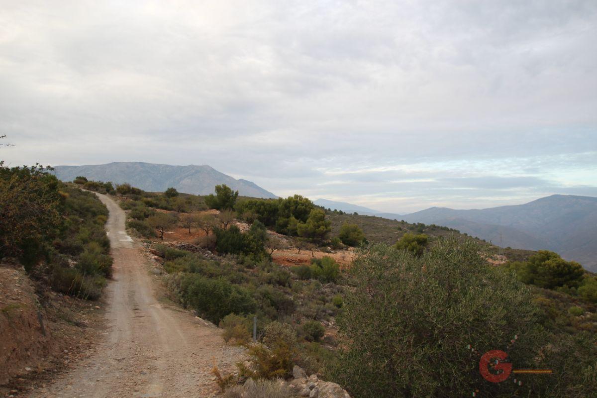 For sale of land in Gualchos