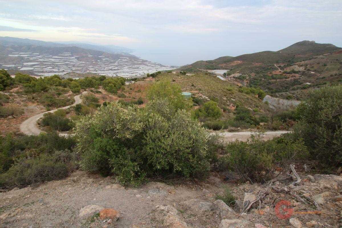 For sale of land in Gualchos